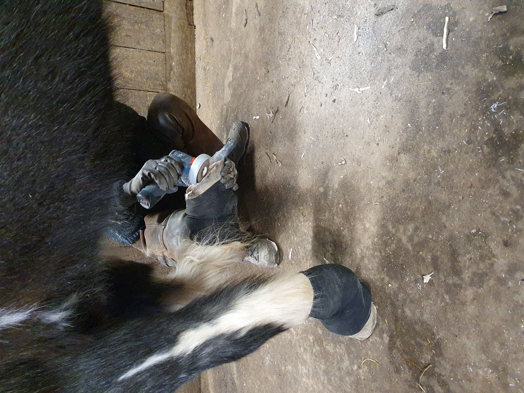 2023 12 Dezember 645